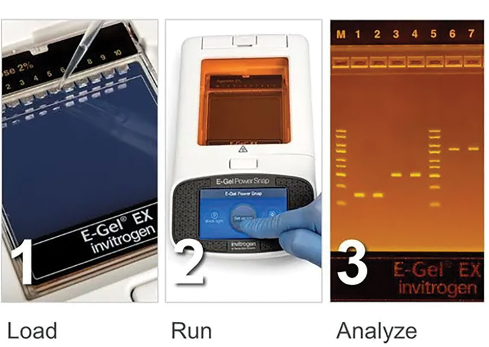 E-Gel® Power Snap Electrophoresis Device