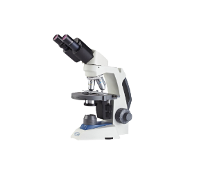 Wolfe® Cordless LED Binocular Microscope w/ms