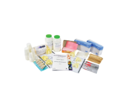 Forensic Dental Analysis/Training Kit 