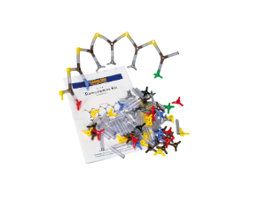 Transcription DNA Molecular Model Kit