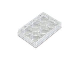 Cell Culture Plates, PS, Sterile-6-well