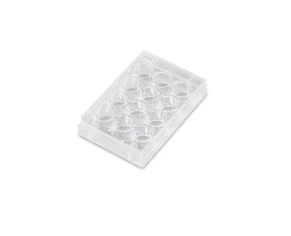 Cell Culture Plates, PS, Sterile-12-well