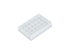 Cell Culture Plates, PS, Sterile-24-well