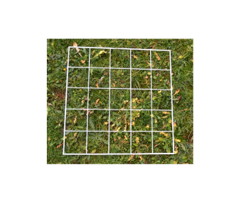 Quadrat Grid: 500mm x 500mm-100/Squares
