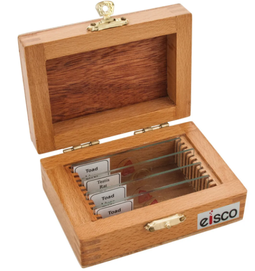 Microscope Slide Storage Box - Wooden for 12 Slides  
