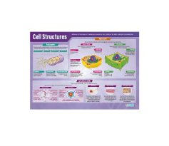 [CAHE1676953] Cell Structures Poster