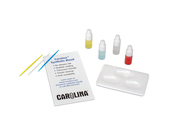 [CA700999] Synthetic Blood Typing Student Kit-Single